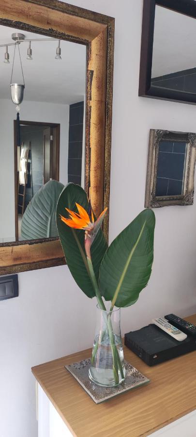 לוס יאנוס דה אריאדנה Casa Sandra En Las Norias Todoque Con Wi-Fi מראה חיצוני תמונה
