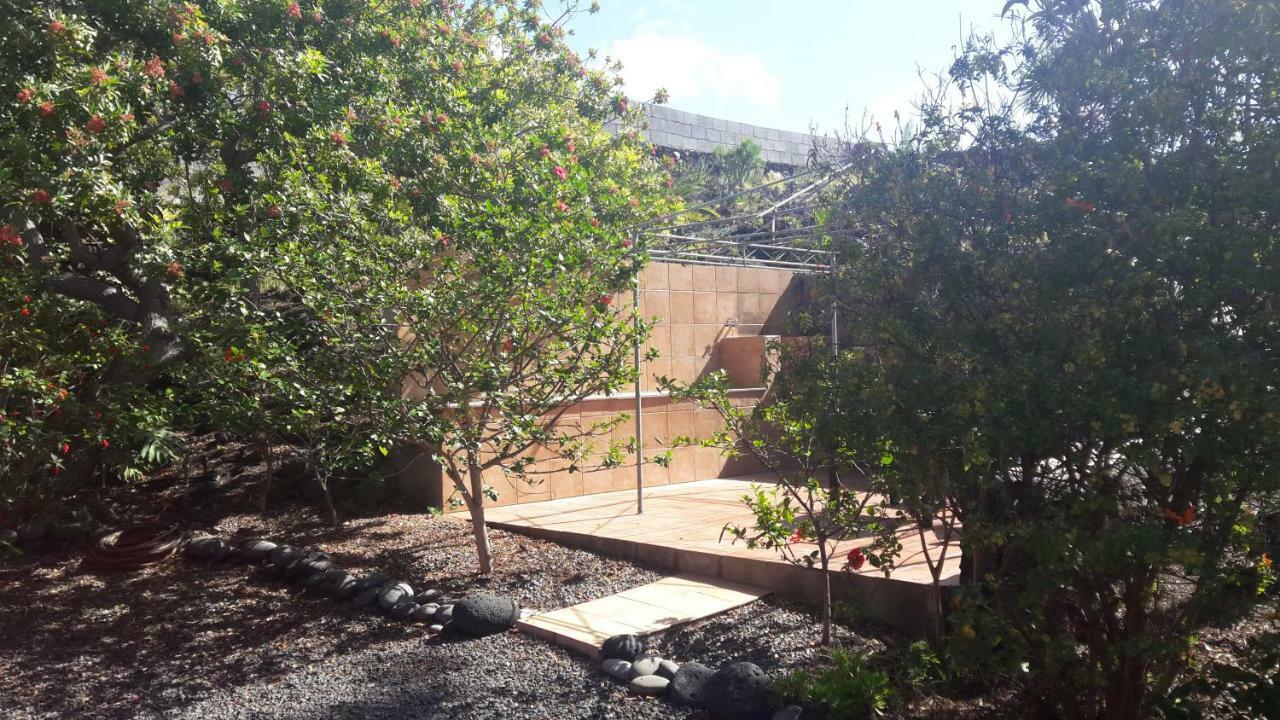 לוס יאנוס דה אריאדנה Casa Sandra En Las Norias Todoque Con Wi-Fi מראה חיצוני תמונה